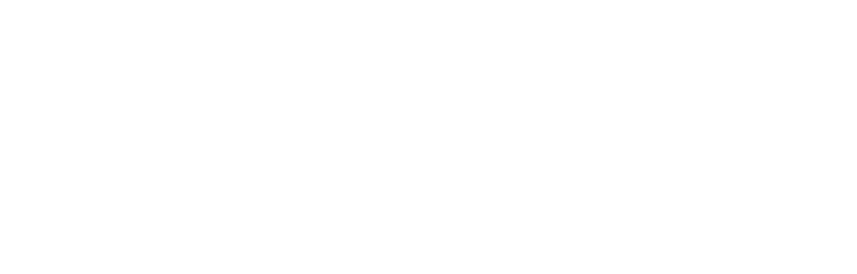 Global Medix
